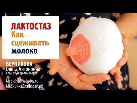 Массаж груди для увеличения лактации4