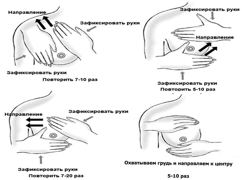 Массаж груди для увеличения лактации2